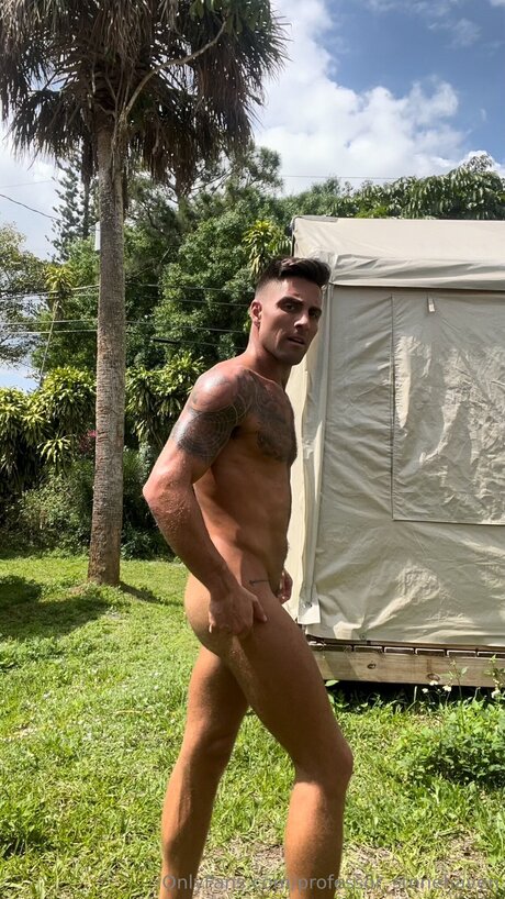 Professor Stonehaven adult model pics