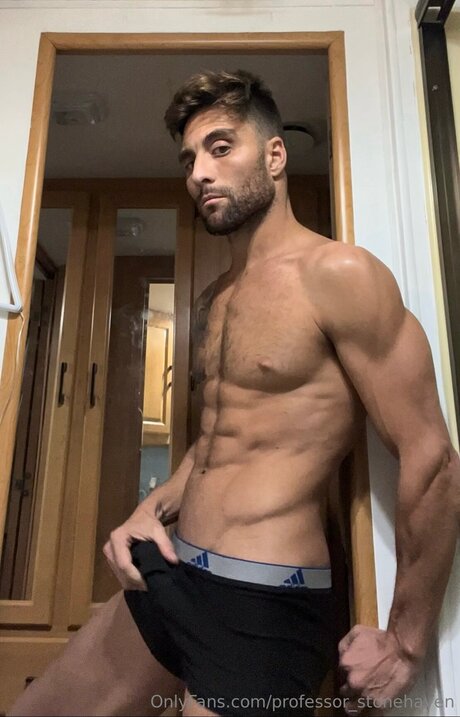 Professor Stonehaven model free image