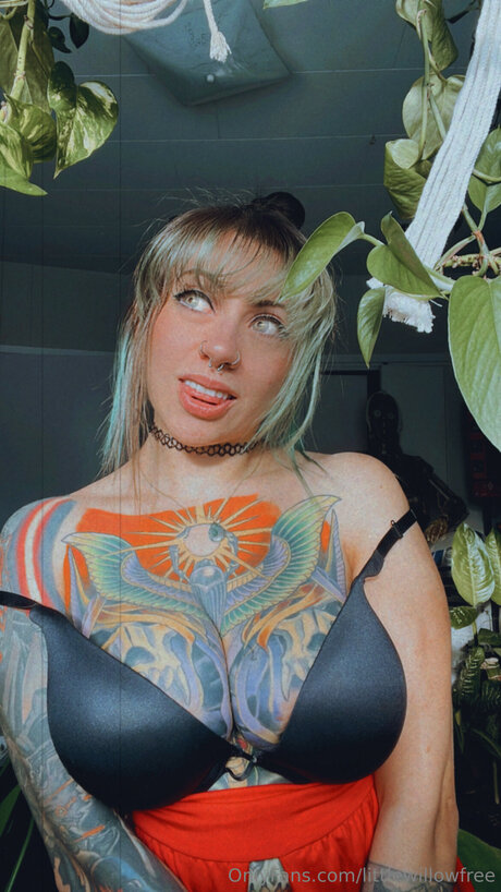 latino onlyfans xxx photos