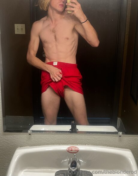 Theblonderod adult star pictures