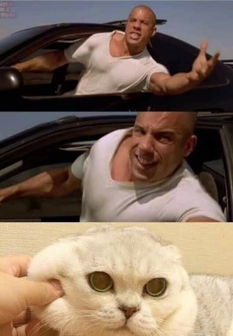 kuroshiika star naked photos