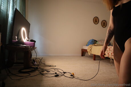 Eeveefrost star beautiful image