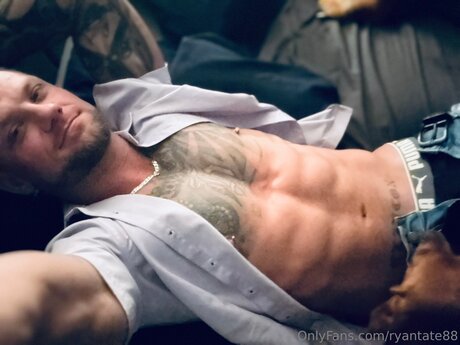 Ryantate88 adult star picture