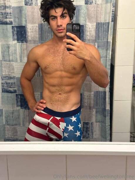 Beefwellingtonfree star nice img