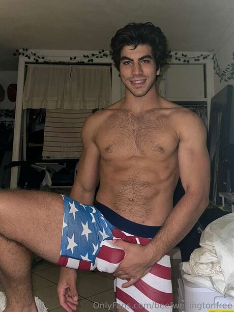 Beefwellingtonfree model nude archive