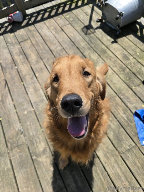 Gnarlymarbles actress photo