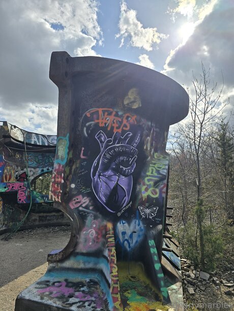 Gnarlymarbles beautiful star photos