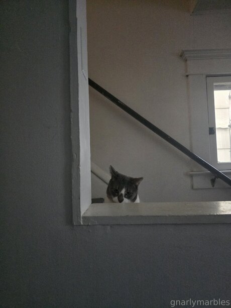 Gnarlymarbles high quality actress picture