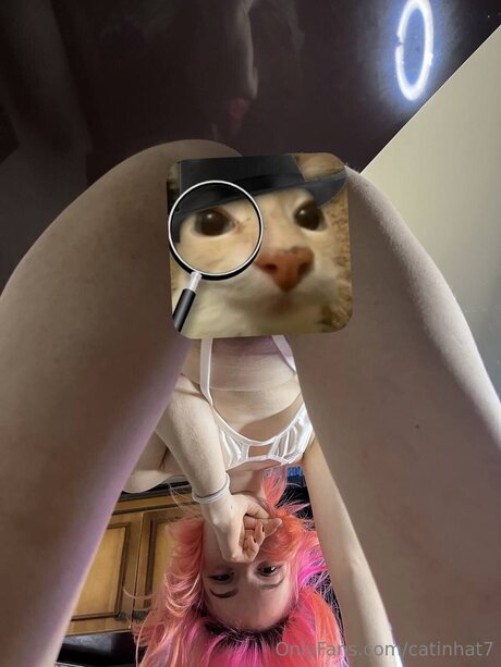 Catinhat7 pornstar sexy pictures