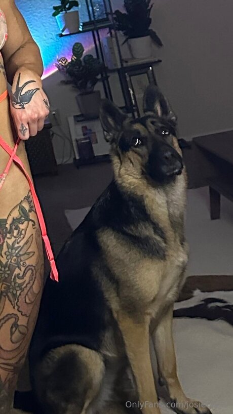 Josiecatxx high quality actress gallery