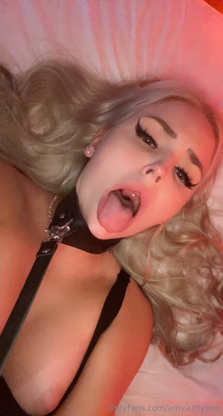 Laceymiller nice star archive