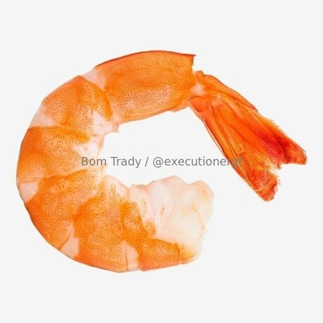 Executionergf star nice images