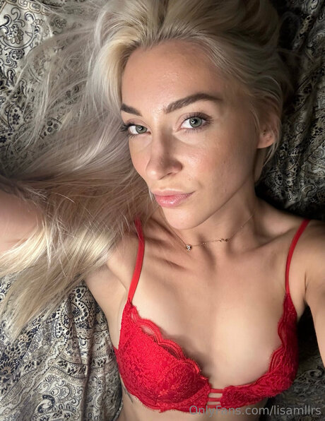 Lisamllrs model archive