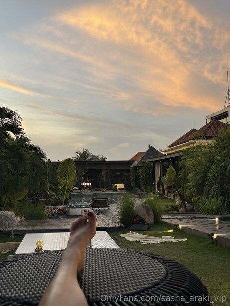 Sasha Araki Vip Profile pic