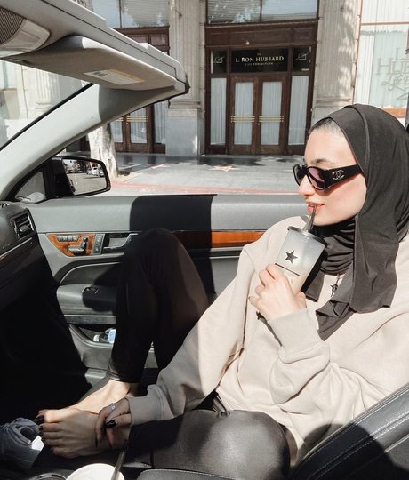 Sher Arar_ star pornographic pictures