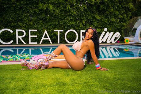 Tsparrisxxx pornstar beautiful image