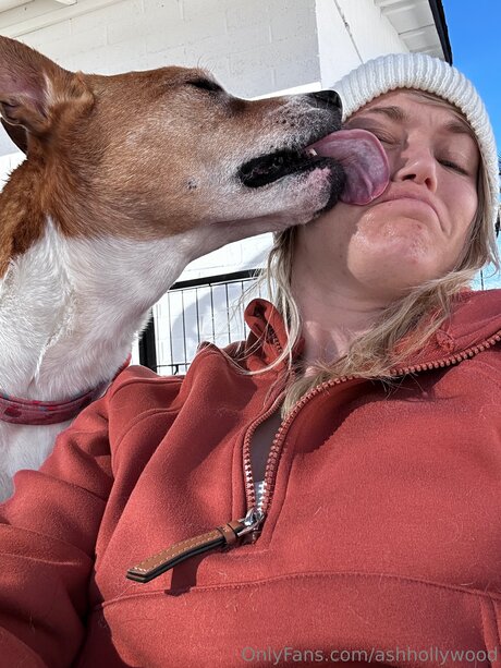 Ashhollywood top star gallery