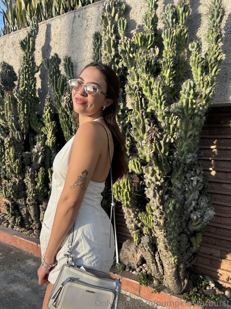 Pumpkinstarburst star pretty photo