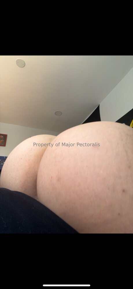 Majorpectoralis star free img