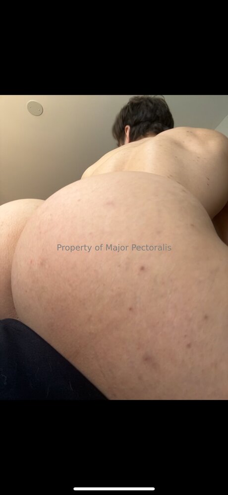 Majorpectoralis art star photo