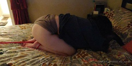 Laine pornstar sex pic