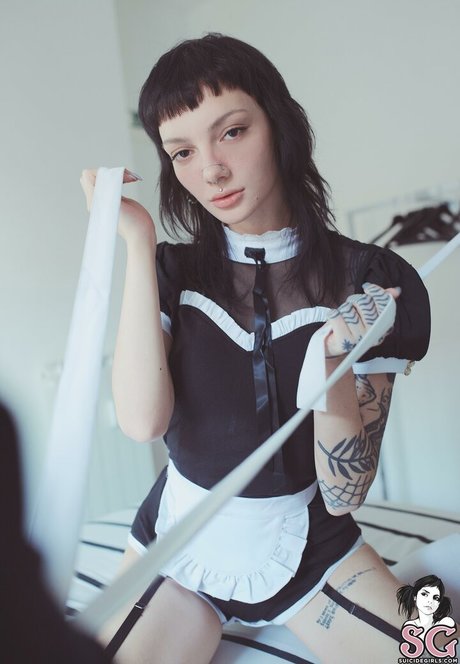 Zzef beautiful star image