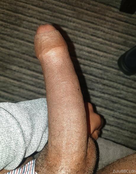 zulubbcldn adult star galleries