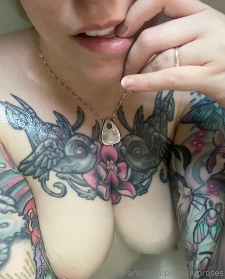 Pushinuproses art star image