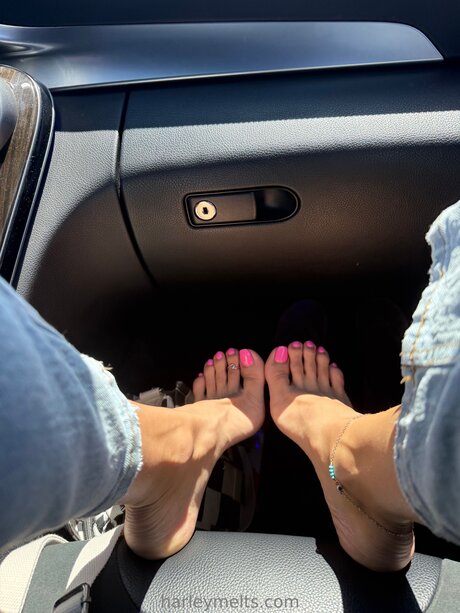 Harleymelts star nude images