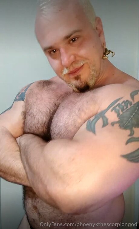 Phoenyxthescorpiongod model top images