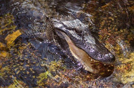 zoeykatexo2 sex model image