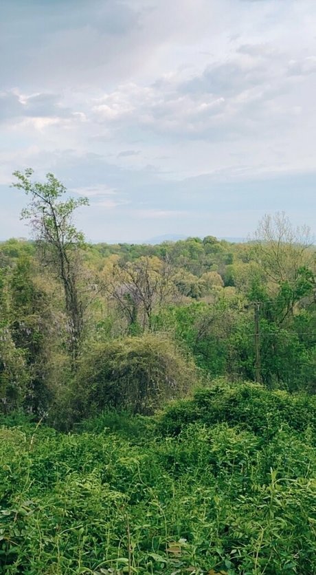 Zoeyt123 pornstar xxx gallery