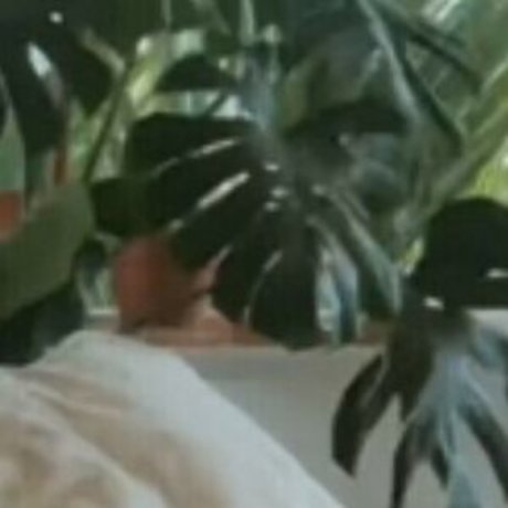 Estelleonline pornstar top pictures