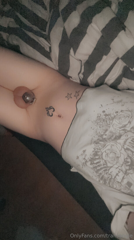 Transangie sexy pornstar image