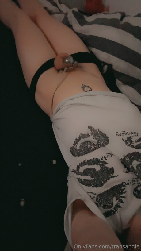 Transangie star high quality galleries