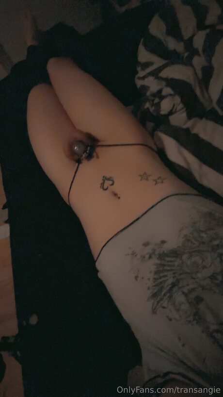 Transangie nice pornstar photo