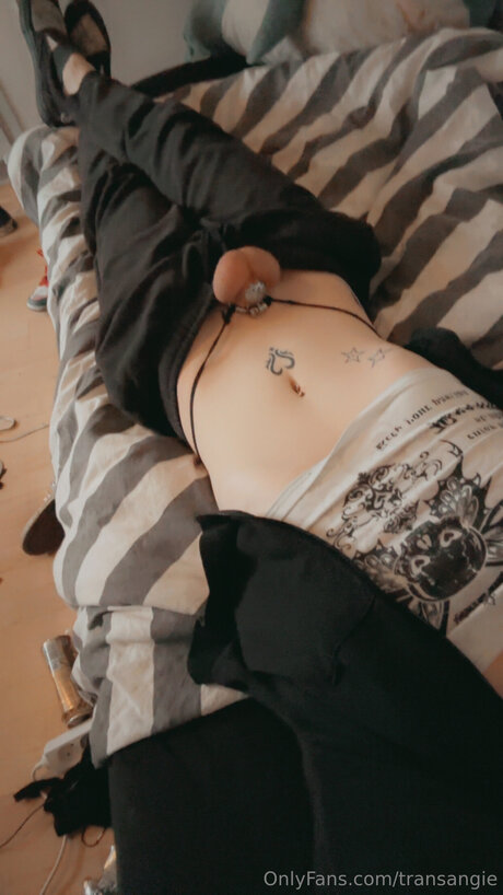 Transangie pornstar high quality img