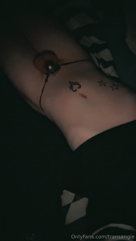 Transangie xxx pornstar image