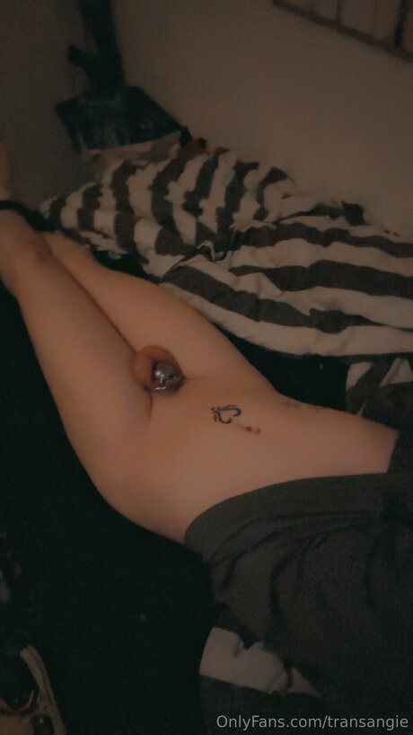 Transangie model porn archive