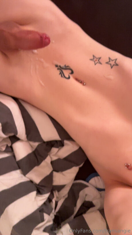 Transangie top star photos