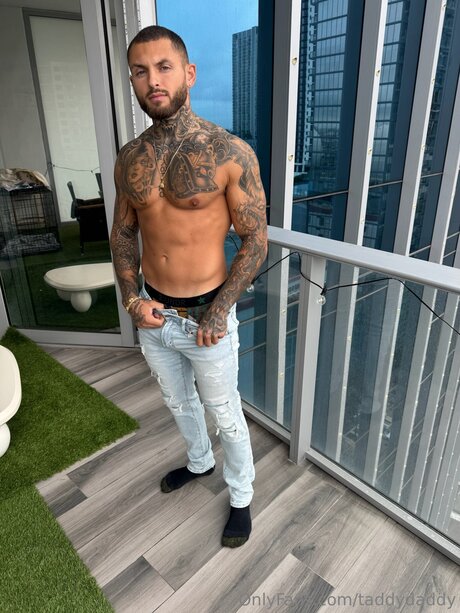 Taddydaddy pornstar best galleries