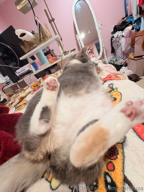 Sonnikuza sexy actress archive