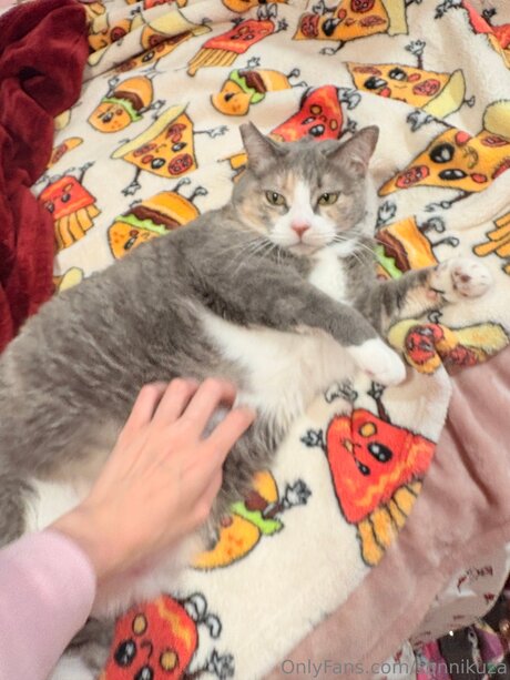 Sonnikuza pornstar best images