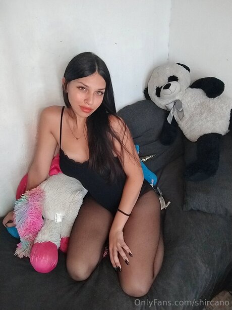 Shircano star perfect img