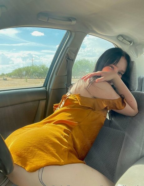 luvandleo nice star images