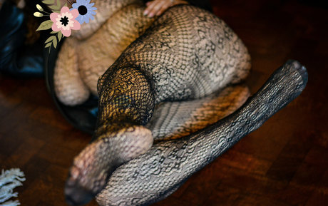 msambarkim best actress archive