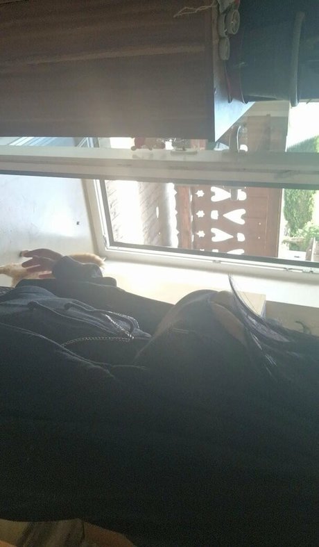 uncensored free onlyfans hot porn images