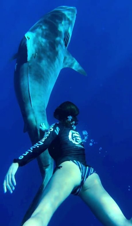 Nina Dobrev perfect star images