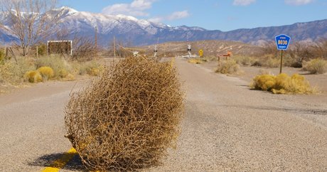 Kimmee porn actress photo