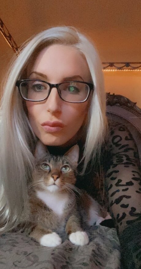 anal dildo onlyfans adult image